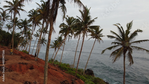 coconut island mirisa