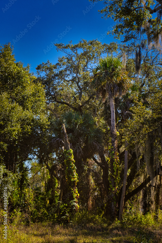 Fototapeta premium Exploring old town Melbourne Florida by the Indian river