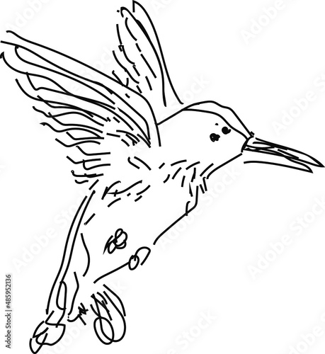 Sparrow logo design for social media and print media. Bird line art.
