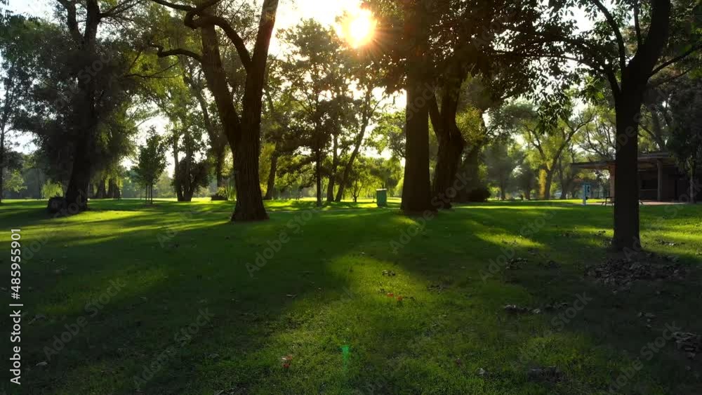 Moody POV shot, flying low over green grass at an empty park on a beautiful summer day, tranquil scene, nature background. Moody POV shot, flying low over green grass at an empty park on a beautiful summer day, tranquil scene, nature background.