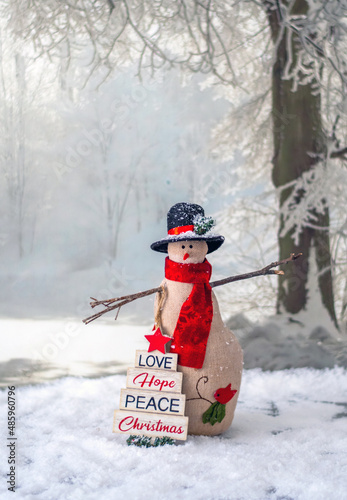 snowman in a snowy woods makes a cute seaasonal still life photo