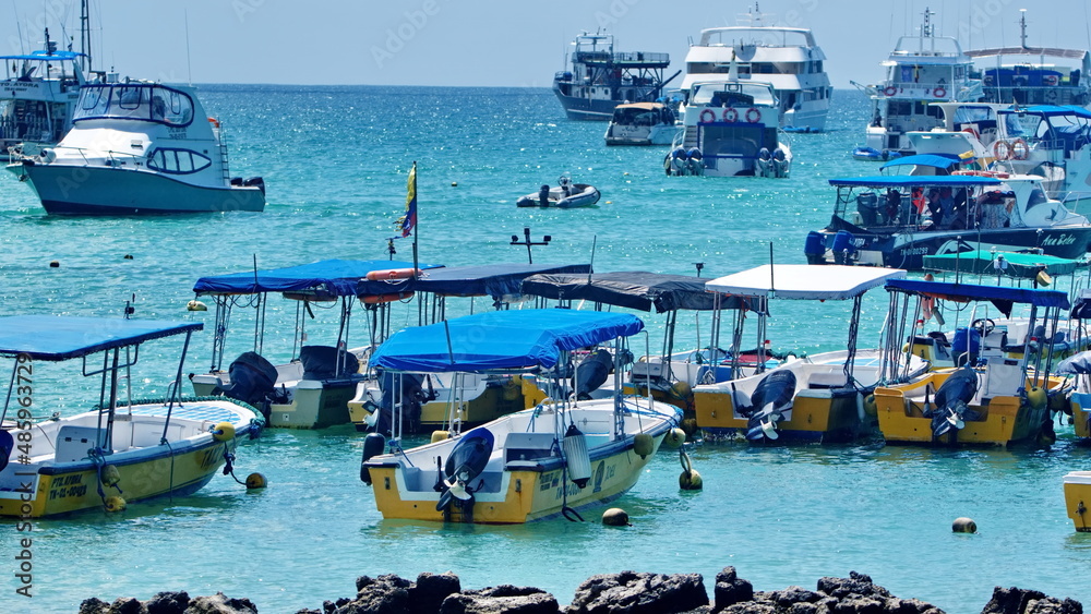 Naklejka premium Row of water taxis in the harbor in Puerto Ayora, Santa Cruz Island, Galapagos, Ecuador