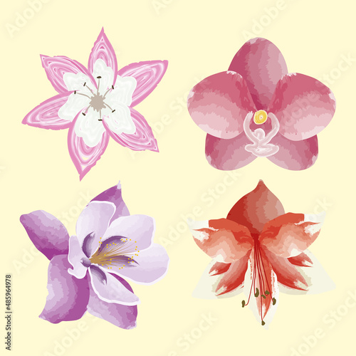 four exotics flowers icons