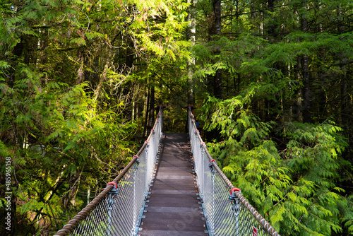 Wooden suspension bridge in the forest of British Columbia, Canada