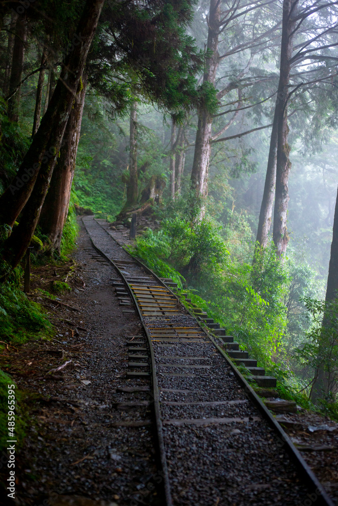 Taiwan, Yilan County, Taiping Mountain, Jianqing Old Road, famous, tourist attraction Taiwan, Yilan County, Taiping Mountain, Jianqing Old Road, famous, tourist attraction