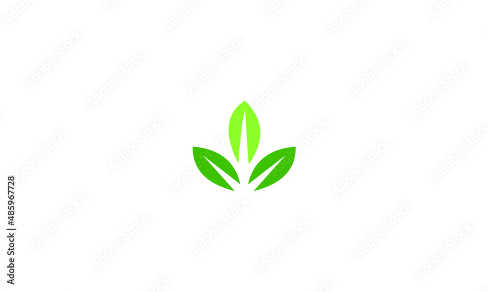 green leaf icon