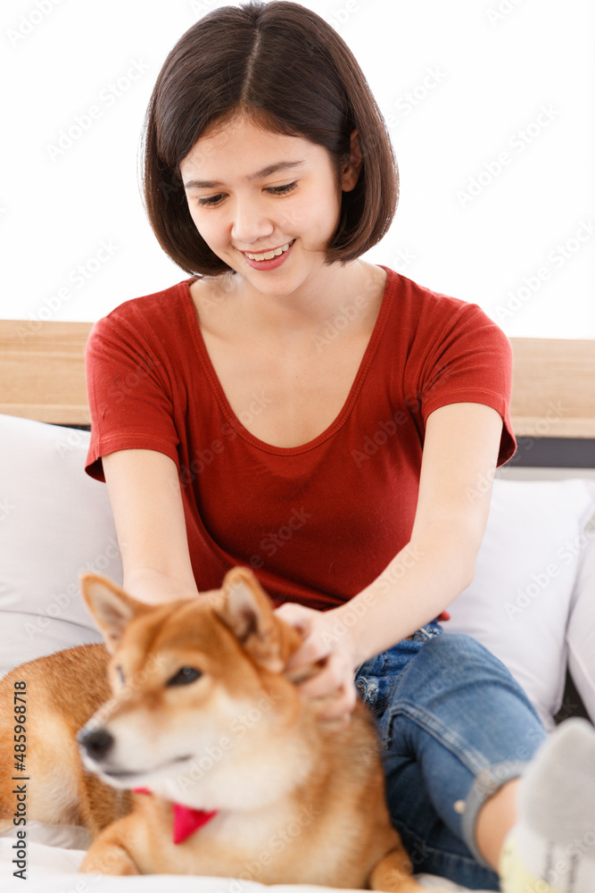 Portrait shot of little cute smart brown Shiba Inu dog wearing red bowtie sitting on bed in bedroom look at camera with Asian female girl owner smiling holding cuddling together in blurred background Portrait shot of little cute smart brown Shiba Inu dog wearing red bowtie sitting on bed in bedroom look at camera with Asian female girl owner smiling holding cuddling together in blurred background