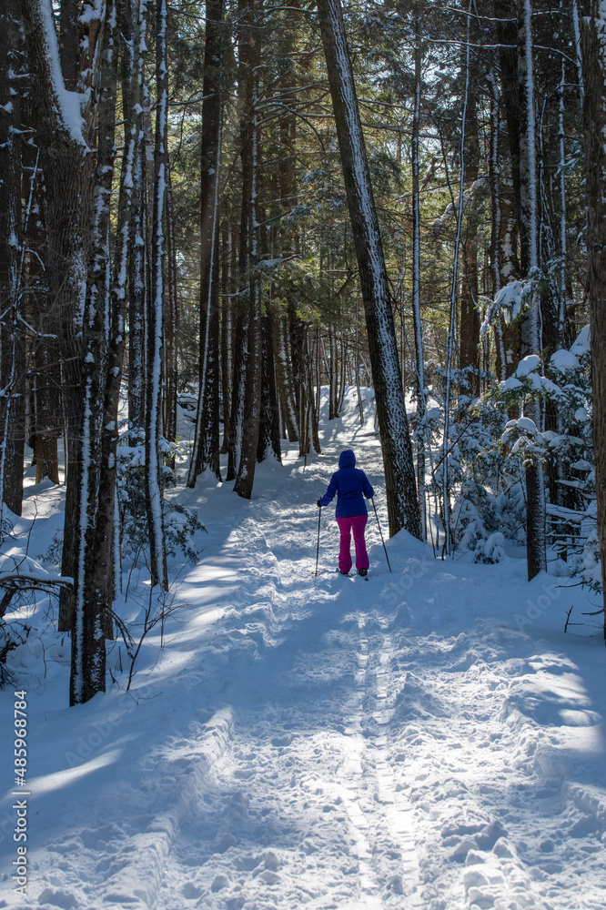 Cross country skiing on a wooded trail for exercise and enjoy the day