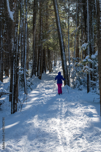 Cross country skiing on a wooded trail for exercise and enjoy the day