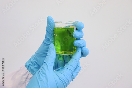 The scientist holds green solutions in beaker with nitrile gloves for protecting hands, food additive Ponceau 4 R for food coloring analysis in fruit juice samples, experiment in chemical laboratory.