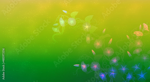 morning glory flower vector illustration hd wallpapers emotional background dark green 나팔꽃 고화질 배경화면