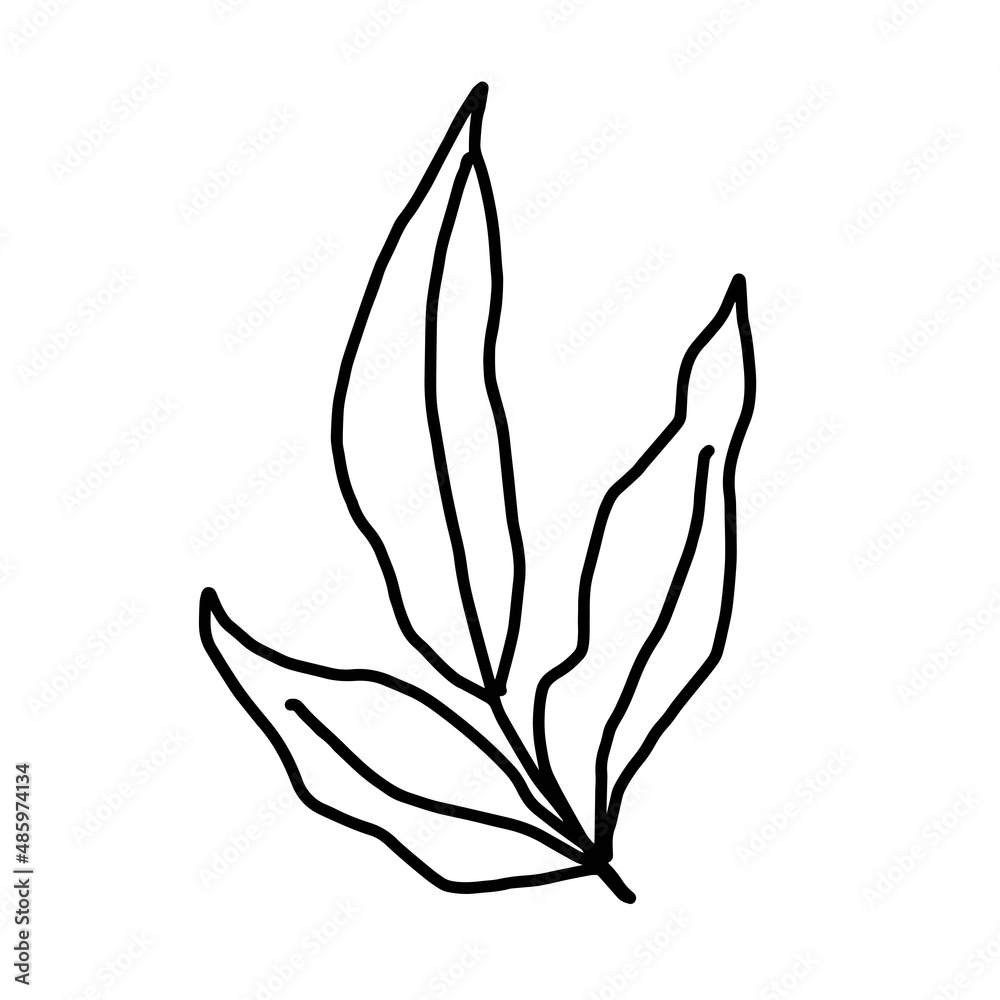 Obraz premium Hand drawn vector flower drawing. Decorative elements for design. Isolated on a white background. Ornament for embroidery, postcards and invitations