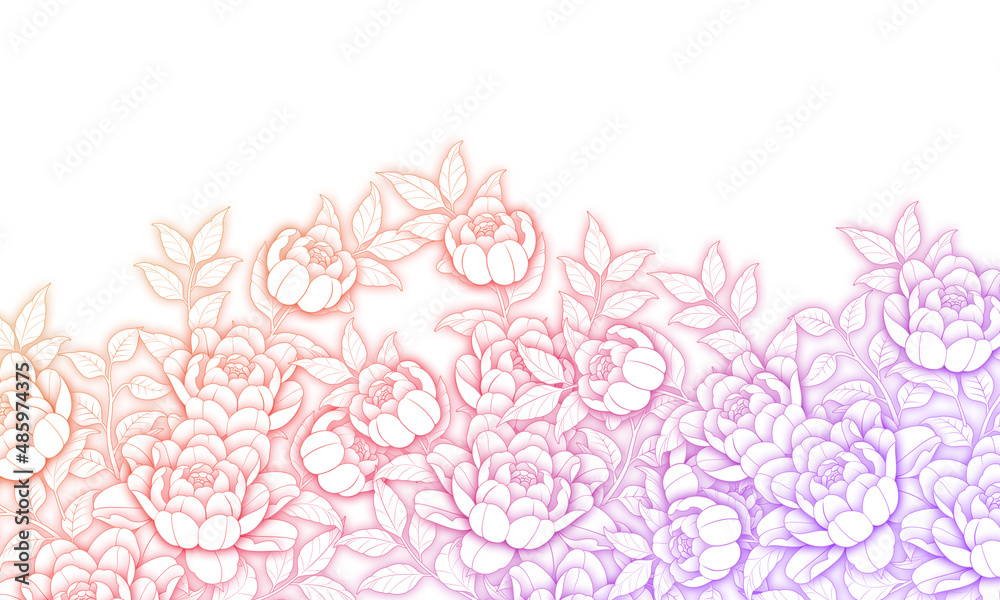 emotional background flower illustration peony white 감성배경 모란