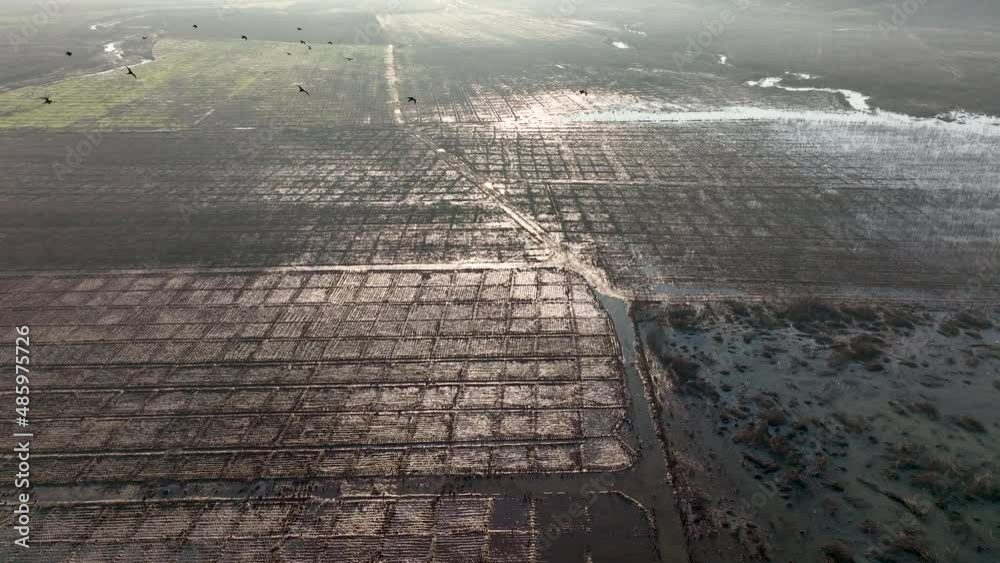Destroy Crops Huge damage of flood from Strong wind and heavy summer storm. Climate ...