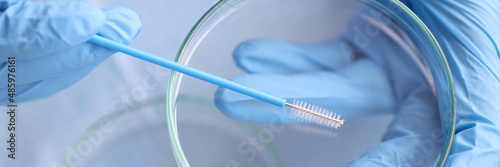 Doctor in blue rubber gloves holding cytobrush over petri dish closeup photo
