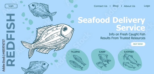 Seafood delivery service, variety of fish website