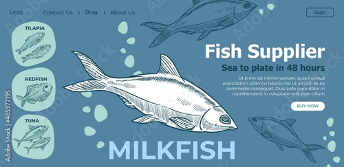 Fish supplier sea to plate in two days website