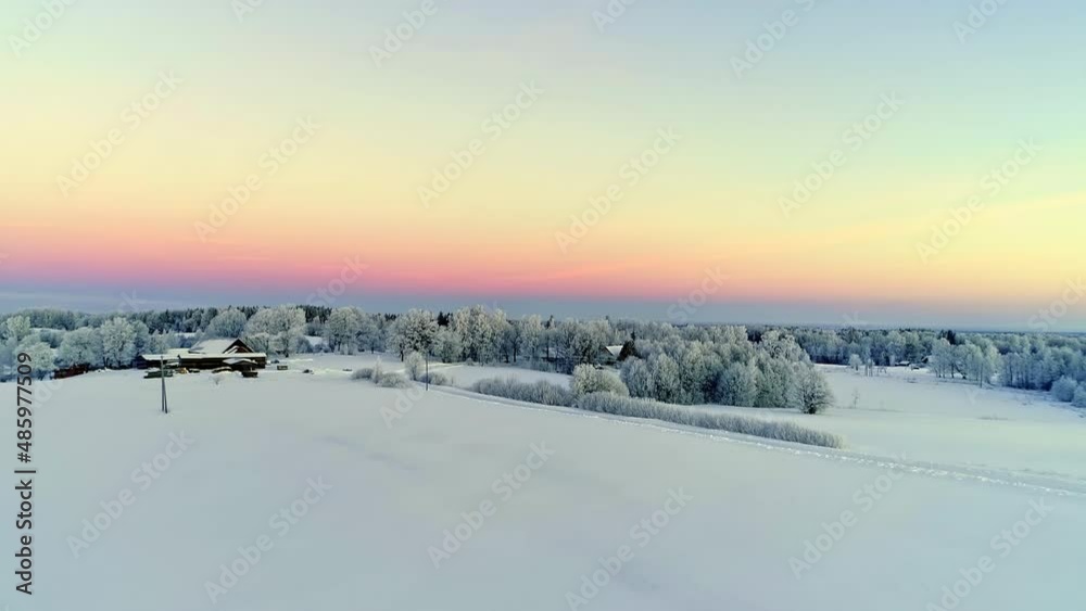 Frost layered winter flora seasonal at magic hour aerial Frost layered winter flora seasonal at magic hour aerial