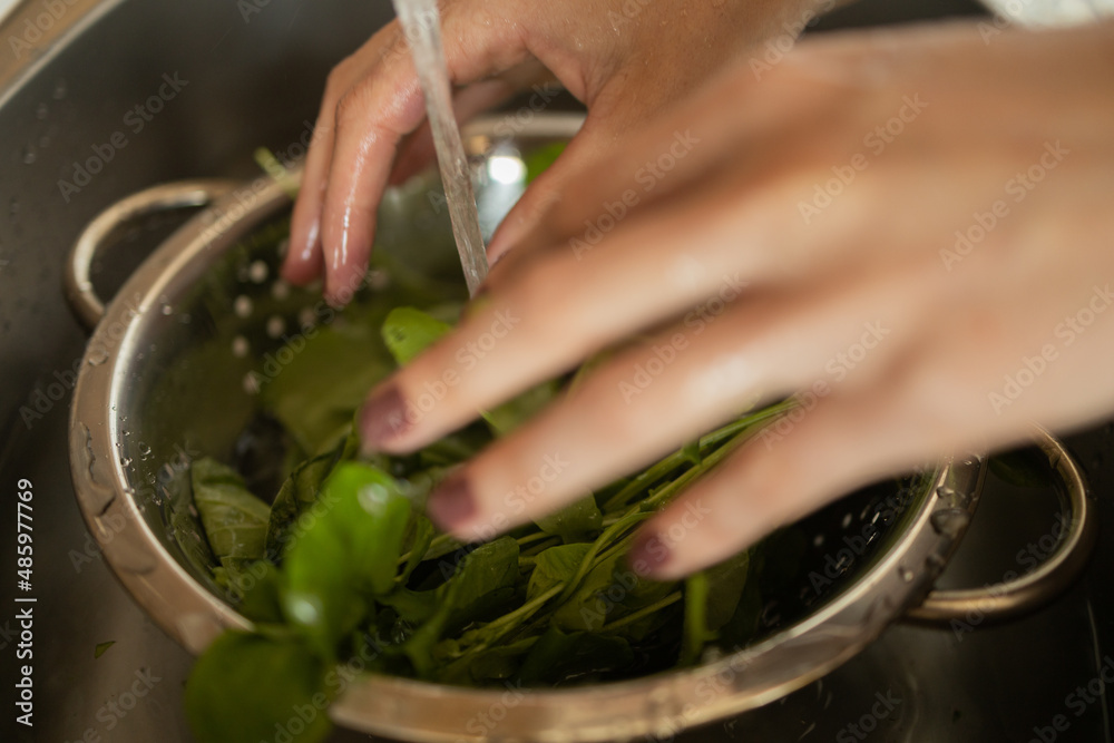 Happy and healthy young woman meal prepping whole vegetarian meal in the kitchen. High quality photo