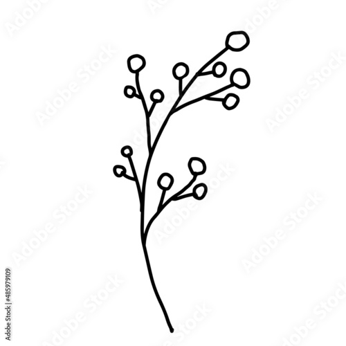 Hand drawn vector flower drawing. Decorative elements for design. Isolated on a white background. Ornament for embroidery, postcards and invitations