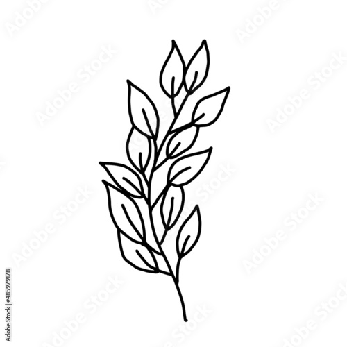 Hand drawn vector flower drawing. Decorative elements for design. Isolated on a white background. Ornament for embroidery, postcards and invitations