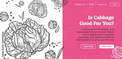 Is cabbage good for you, healthy dieting meal