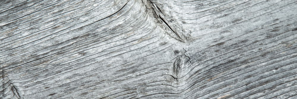 grunge background: sunburnt whitened wood surface close, cracks and dents, toning grunge background: sunburnt whitened wood surface close, cracks and dents, toning