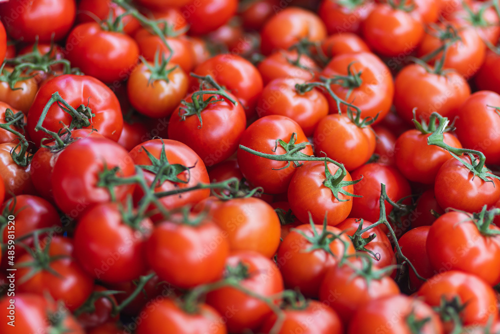Fresh red cherry tomatoes, soft selective focus. Background with tomatoes Fresh red cherry tomatoes, soft selective focus. Background with tomatoes