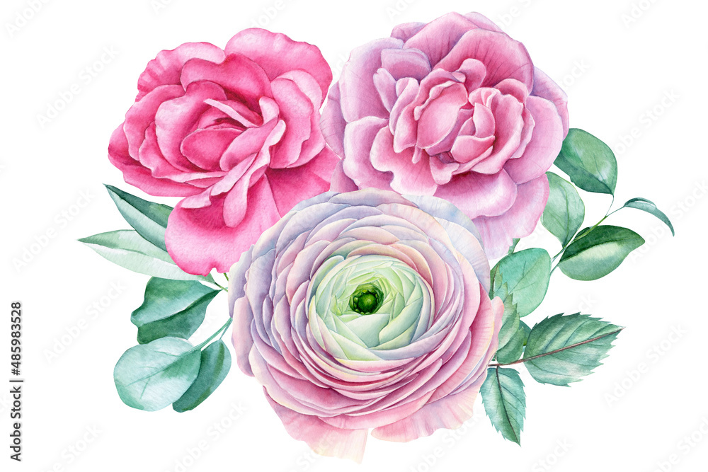 Bouquet from roses, ranunculus and eucalyptus leaves, watercolor botanical painting