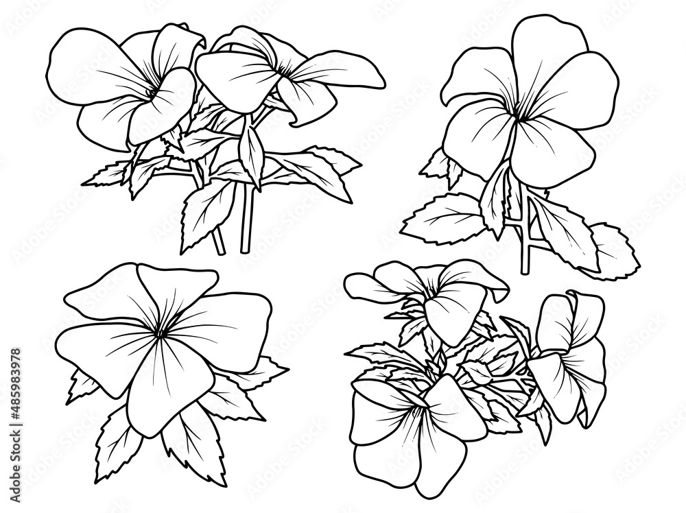 Hand drawn flower sketch line art illustration