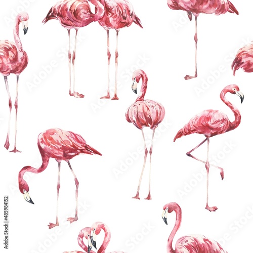 Pink flamingo seamless pattern on white background. Watercolour illustration. © Ann Lou