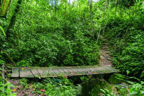 wooden bridge in the forest, landscape with green leaves huanuco, peru photo
