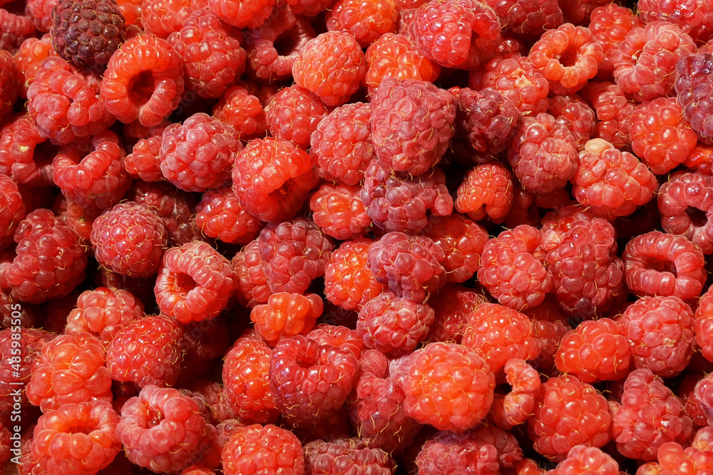 heap of fresh tasty raspberry as textured background, top view heap of fresh tasty raspberry as textured background, top view