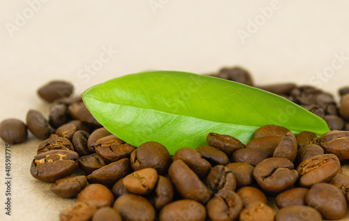 Roasted coffee beans and fresh green leaves on brown background