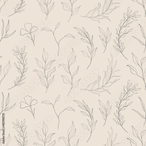 Seamless pattern plant nature hand drawn set. Outline botanical element.Elegante vintage style.