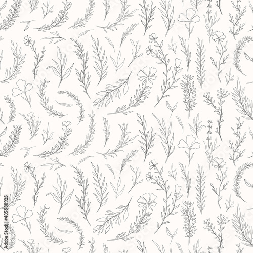 Seamless pattern plant nature hand drawn set. Outline botanical element.Elegante vintage style.