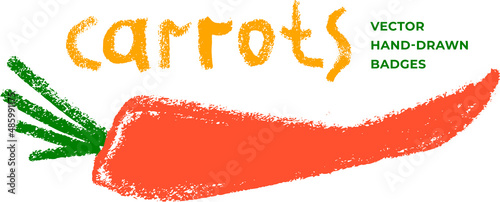 Vector carrot icon isolated. Textured hand-drawn carrots illustration. Vegetarian restaurant symbol. Home cooking sign. Vegetable drawings for organic food label, juice packaging, vegan cosmetics.