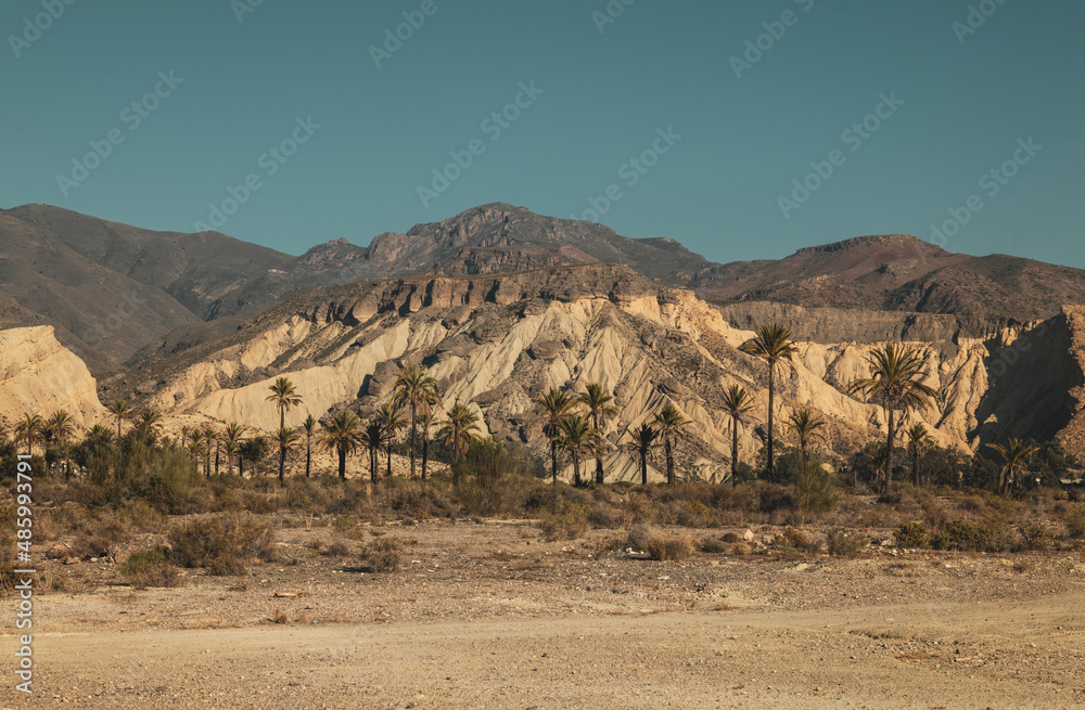 Landscape of tabernas desert, Almeria, Spain, with palm trees