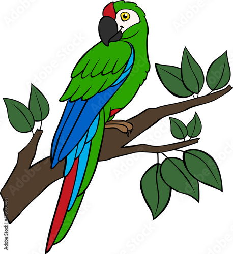 Cartoon birds. Parrot green macaw sits on the tree branch.