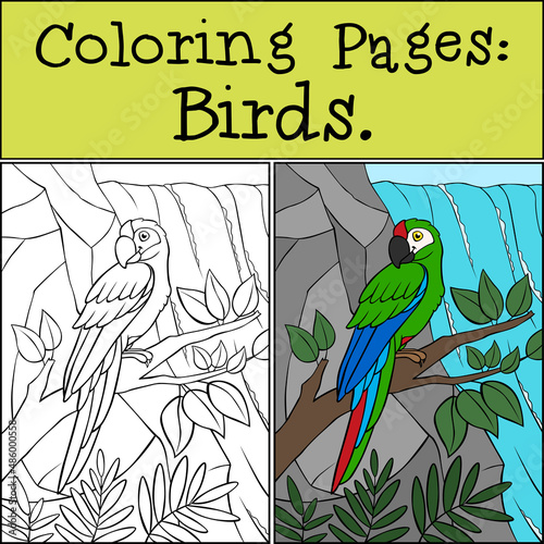 Coloring page with example. Cute parrot green macaw sits and smiles.