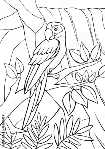 Coloring page. Cute parrot green macaw sits and smiles. There is waterfall in the background.