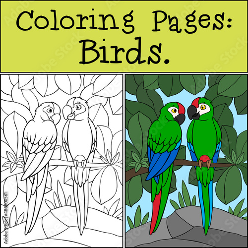 Coloring page with example. A pair of cute parrots green macaw sits and smiles.