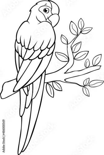 Coloring page. Cute parrot green macaw sits and smiles.
