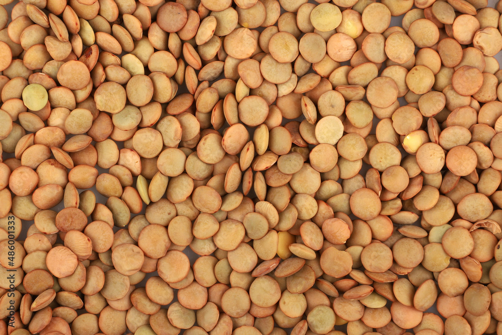 Green lentils isolated on white background. Green lentils isolated on white background.