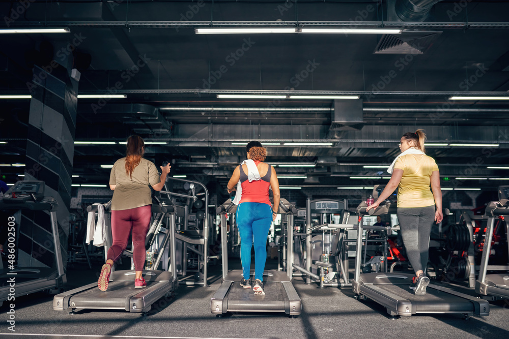 Fototapeta premium Back view of girls running on treadmill in gym