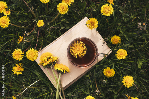 Cup of Dandelion tea on the boolk with fresh yellow flowers on meadow in vintage style. Herbal medicine. Vitamin drink. Natural beverage for health. Atmospheric spring composition for book cover