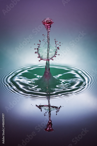 Water's rose
