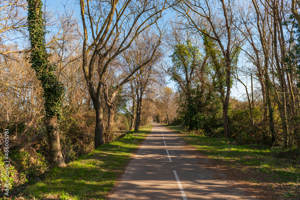 Cycle and pedestrian path near the pond of Thau, in winter, in Poussan, in Occitanie, France Cycle and pedestrian path near the pond of Thau, in winter, in Poussan, in Occitanie, France