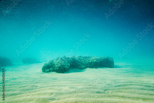 Obraz na plátne Underwater scene with rocks on sand