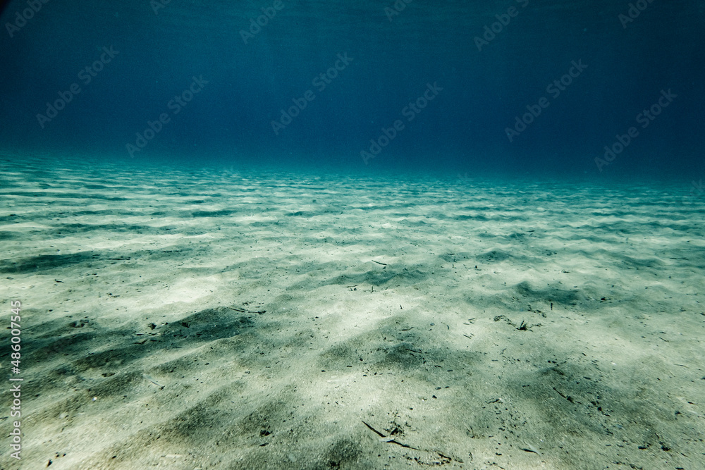Fototapeta premium Underwater scene with sunlight on rippled sand